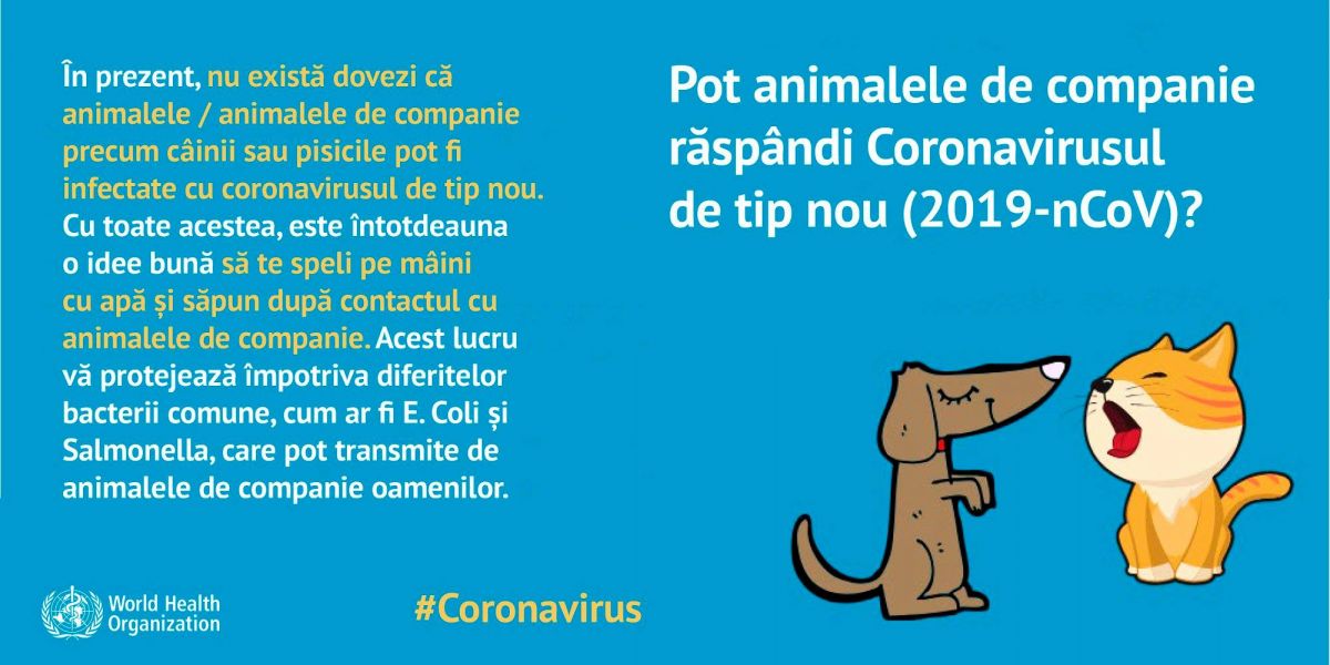 ​​coronavirus
