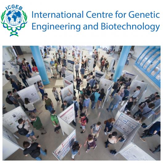 Republica Moldova a devenit țară membră a Centrului Internațional de Inginerie Genetică și Biotehnologie  