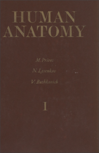 Human Anatomy