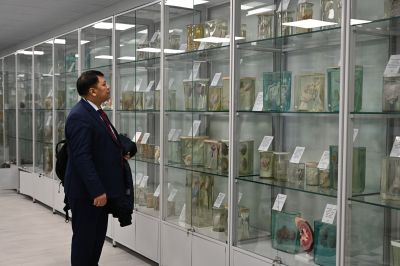 Evaluarea externă a USMF „Nicolae Testemițanu”