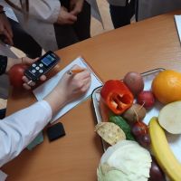 La détermination de vitamine C et des nitrates dans les fruits et légumes workshop