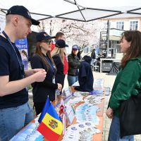 Târguri educaționale