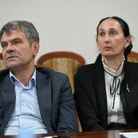 Senat