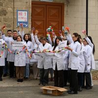 Ziua europeană a informării despre antibiotice